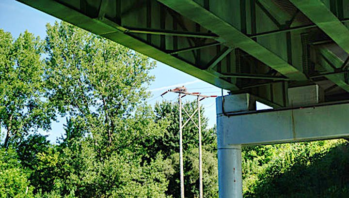 Osprey nest on utility pole